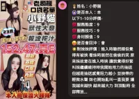 苗栗定點茶-小野貓