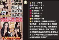 苗栗定點茶-小野貓