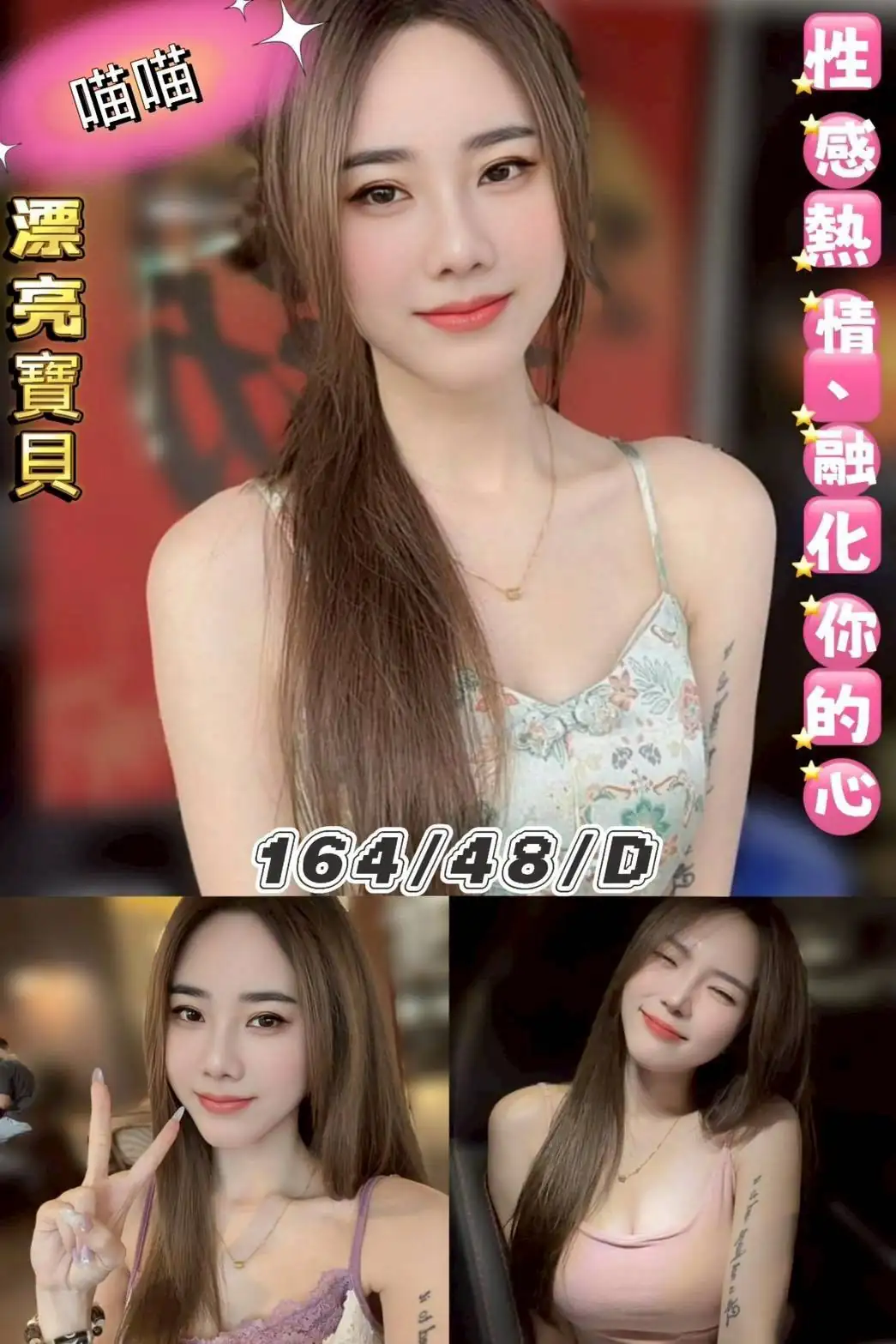 台北定點茶-喵喵 台北定點茶-喵喵