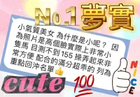 台中定點茶-夢實