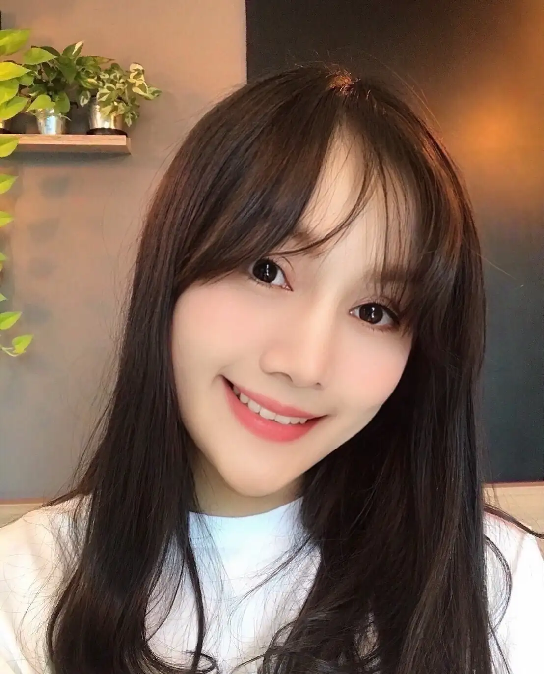 台南定點茶-珊瑚 台南定點茶-珊瑚