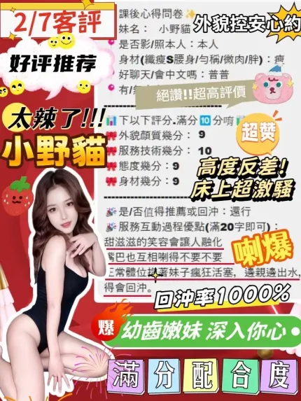 台中定點茶-小野貓