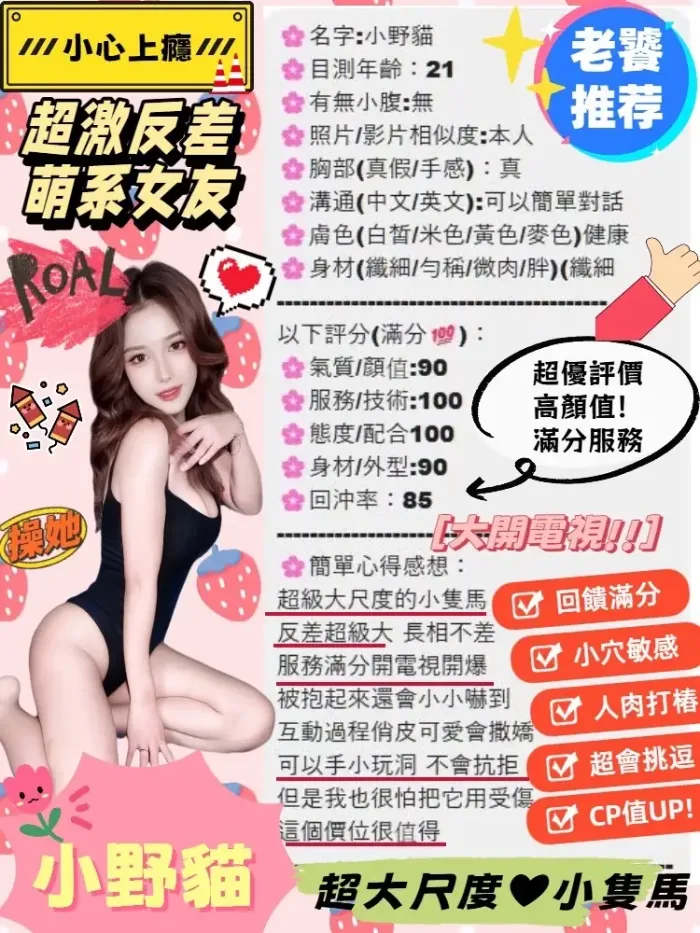 台中定點茶-小野貓