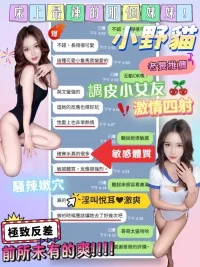 台中定點茶-小野貓