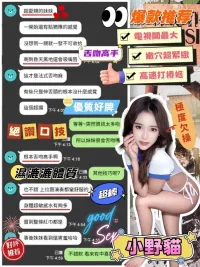 台中定點茶-小野貓