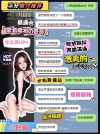 台中定點茶-小野貓