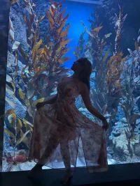 台北定點茶-金谷宇乃