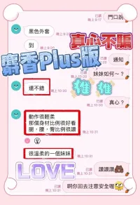 台中定點茶-麝香