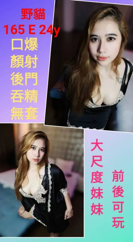 台北定點茶-野貓