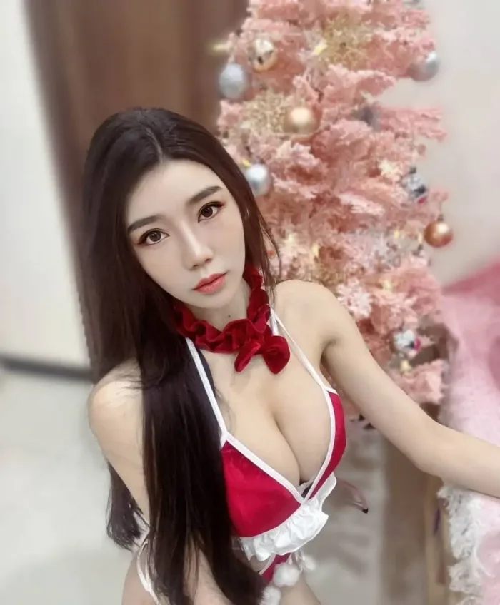 屏東定點茶-魅兔