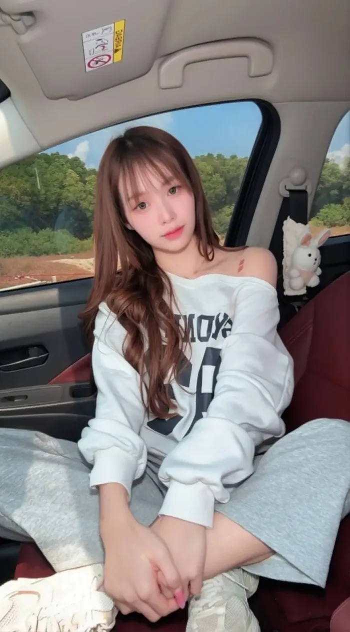 桃園定點茶-松島楓