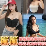 台中定點茶-嵐嵐