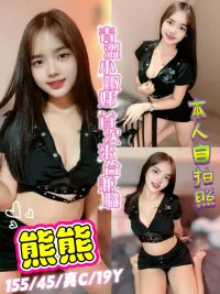 新北定點茶-熊熊