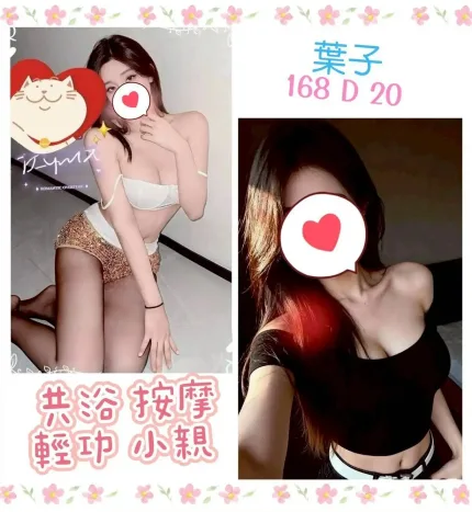 台北定點茶-葉子