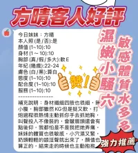 新竹定點茶-方晴