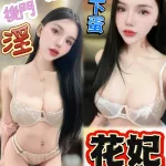 台中定點茶-花妃