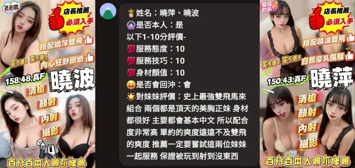 苗栗定點茶-曉波