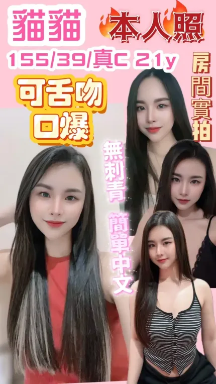 新竹定點茶-貓貓