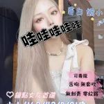 桃園外送茶-小小