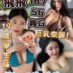 苗栗定點茶-飛飛