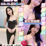 桃園定點茶-程兒