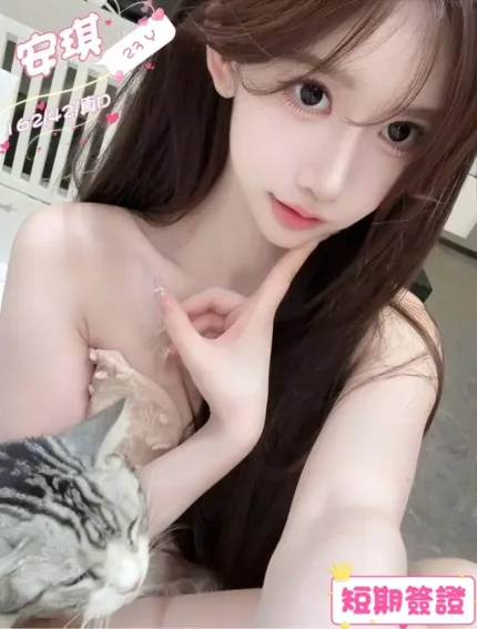 台中定點茶-安琪