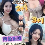 桃園定點茶-美臻