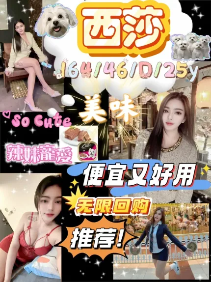 台北定點茶-西莎