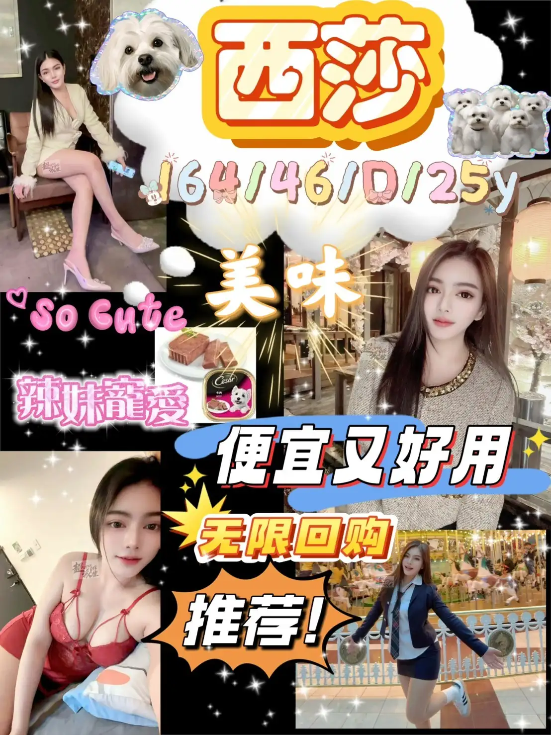 台北定點茶-西莎 台北定點茶-西莎