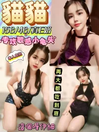 彰化定點茶-貓貓