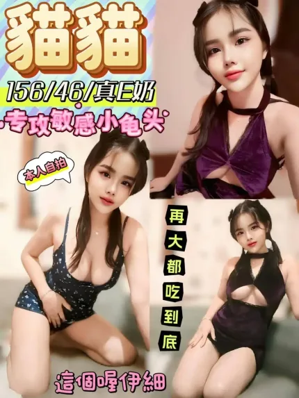 彰化定點茶-貓貓