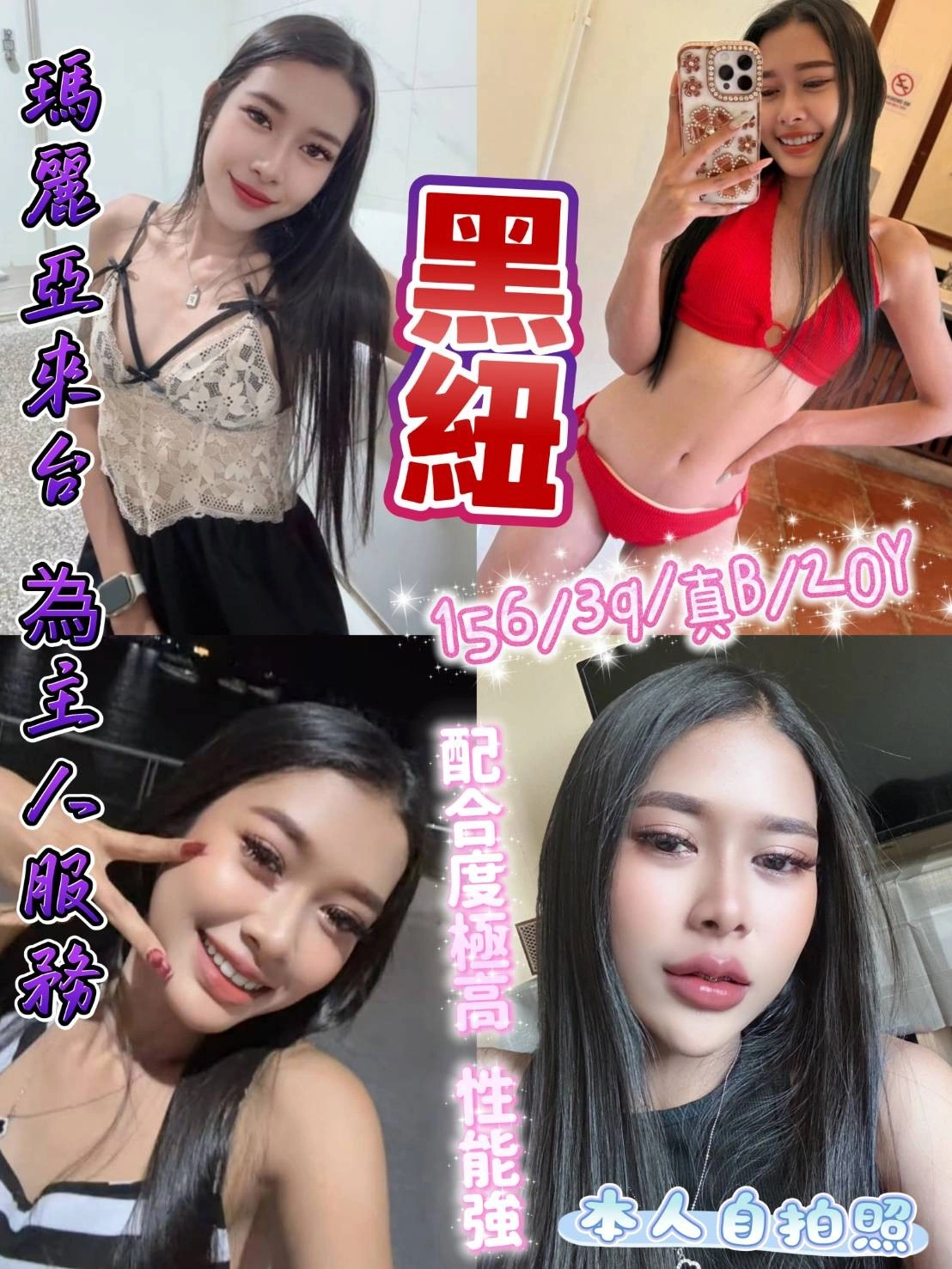 新北定點茶-黑紐