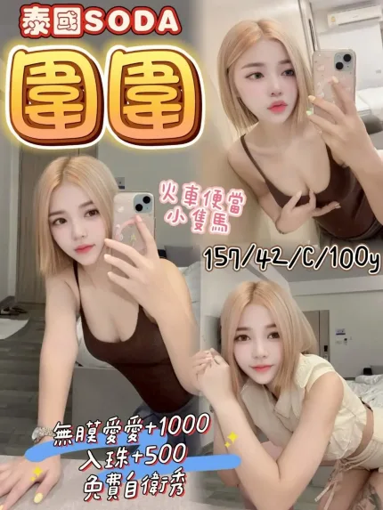 桃園定點茶-圍圍