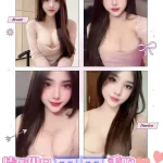 屏東定點茶-果果