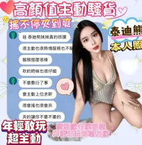 台中定點茶-泰迪熊