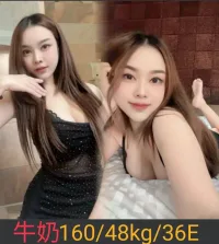 南投定點茶-牛奶