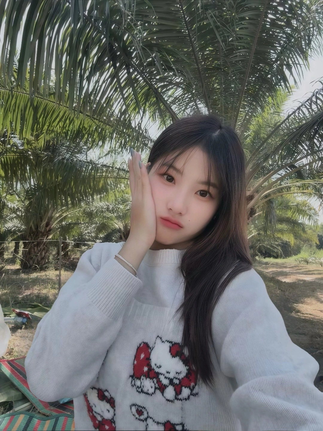 台北定點茶-李美美