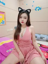 屏東定點茶-佐藤櫻