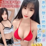 屏東定點茶-娃娃