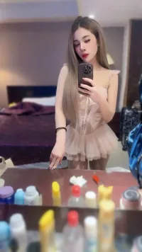 台北定點茶-樹懶叫