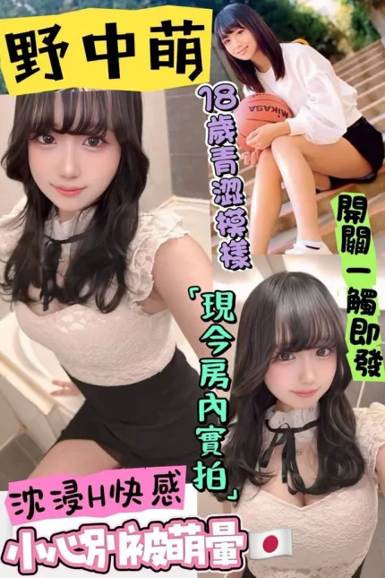 台北定點茶-野中萌