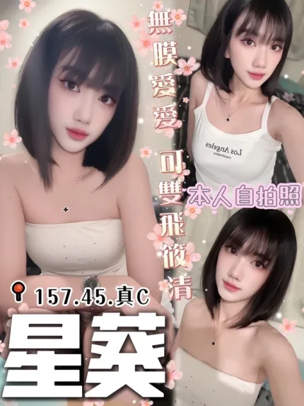 台中定點茶-星葵