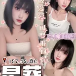 台中定點茶-星葵