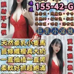 台北定點茶-波咪