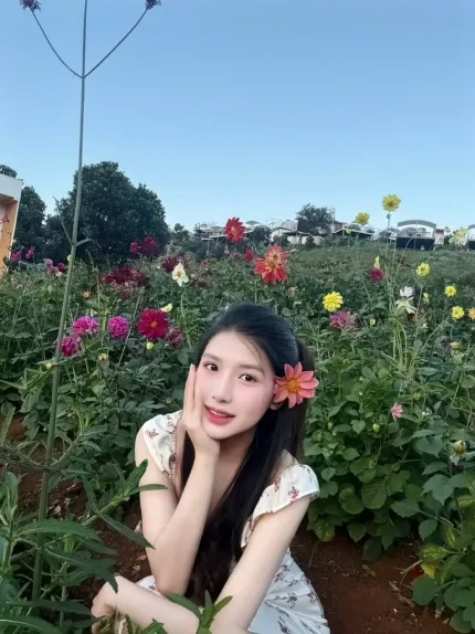 台北定點茶-甜寶貝