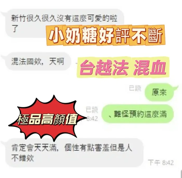 新竹定點茶-小奶糖