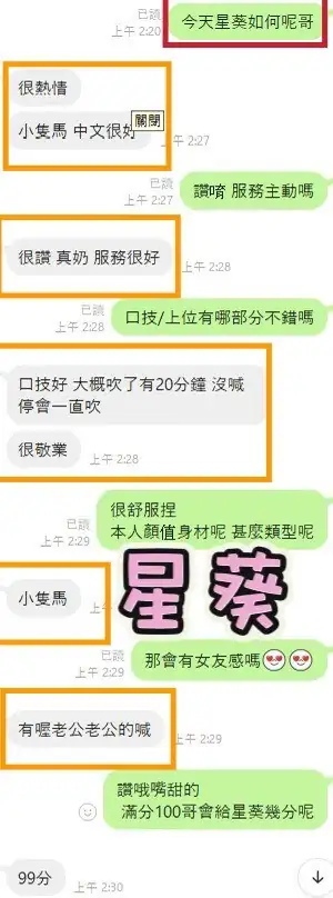 台中定點茶-星葵