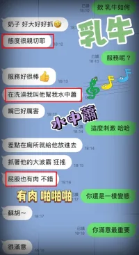 台中定點茶-乳牛