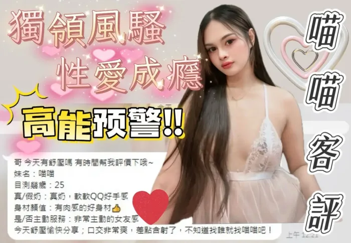 台南定點茶-喵喵