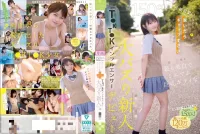 台南定點茶-根鈴菜